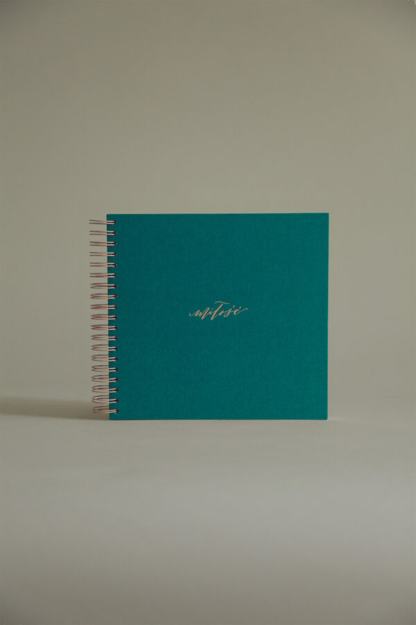 Album 26x25 sea green love